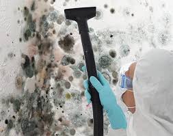 Best Mold Damage Restoration  in Ringgold, LA